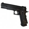 Hi CAPA 5.1 government model