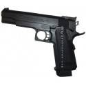 Hi CAPA 5.1 government model