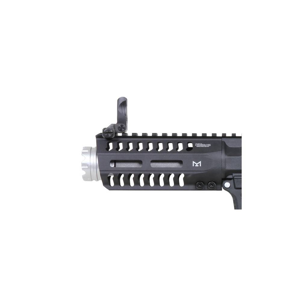 ARP9 custom ICE G&G
