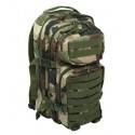 Sac us assault CCE