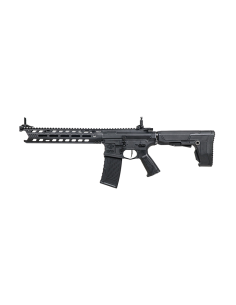 CM16 predator M-lok g&g