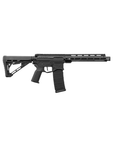 M4 AEG ZION ARMS R15 mod1avec mosfet NEBULA ZION ARMS