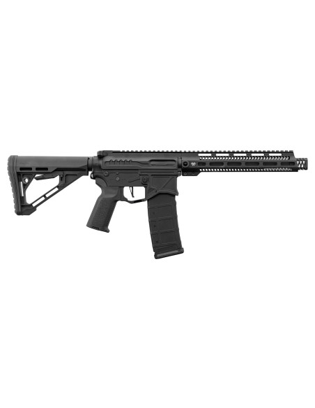 M4 AEG ZION ARMS R15 mod1avec mosfet NEBULA ZION ARMS