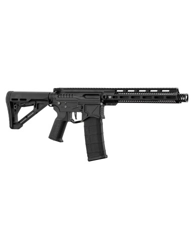M4 AEG ZION ARMS R15 mod1avec mosfet NEBULA