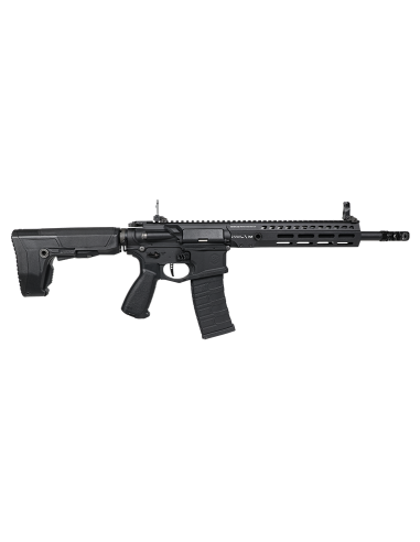 AEG M4 SGR 556 G&G