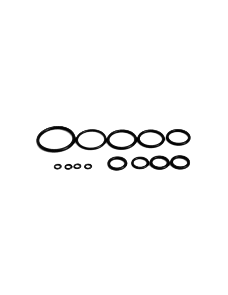 Set de O-Ring pour Fusion Engine Polarstar