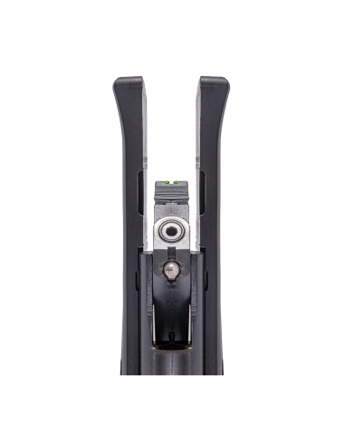 carabine à plomb R-force Target 4.5mm 801204