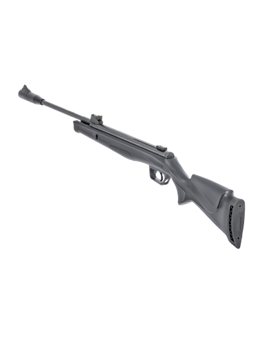 carabine à plomb R-force Target 4.5mm 801204