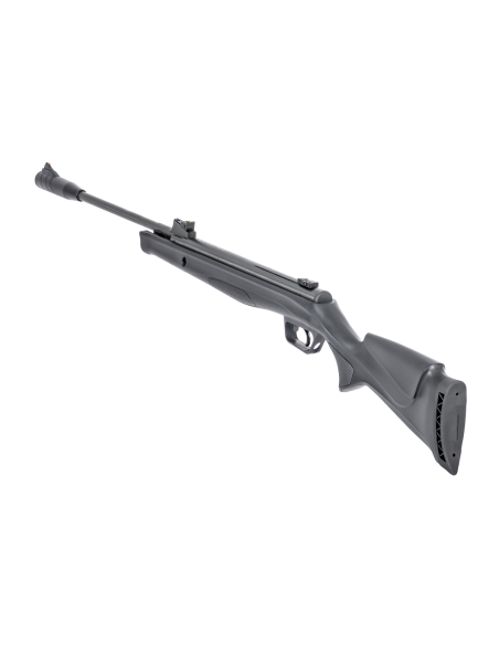carabine à plomb R-force Target 4.5mm 801204