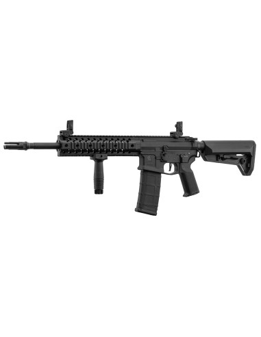 M4 RIS EVO AEG LT-12 GEN2 NSR pack complet