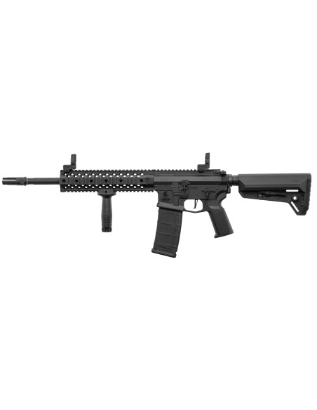 M4 RIS EVO AEG LT-12 GEN2 NSR pack complet