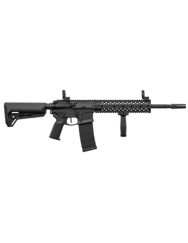 M4 RIS EVO AEG LT-12 GEN2 NSR pack complet