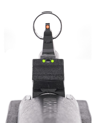 Carabine à plombs 19.9j UX R-force ONE 4.5mm UMAREX