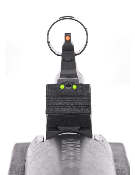 Carabine à plombs 19.9j UX R-force ONE 4.5mm UMAREX