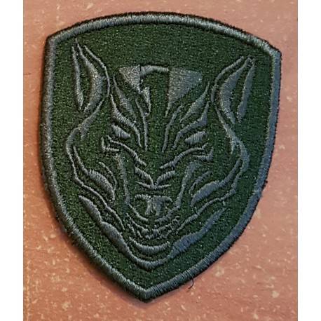 patch medal of honor MOH delta force OD loup
