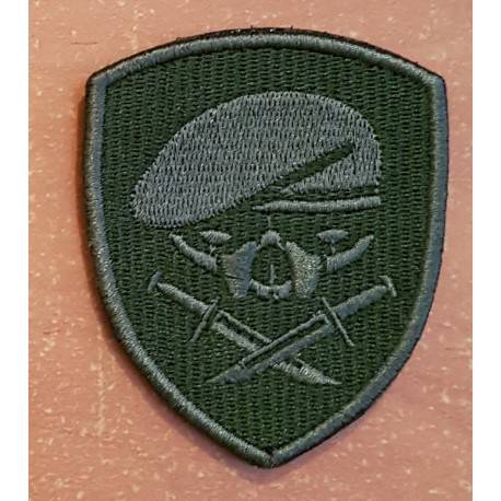 patch medal of honor MOH 75th ranger 1st bataillon od beret