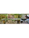 Terrain airsoft et location